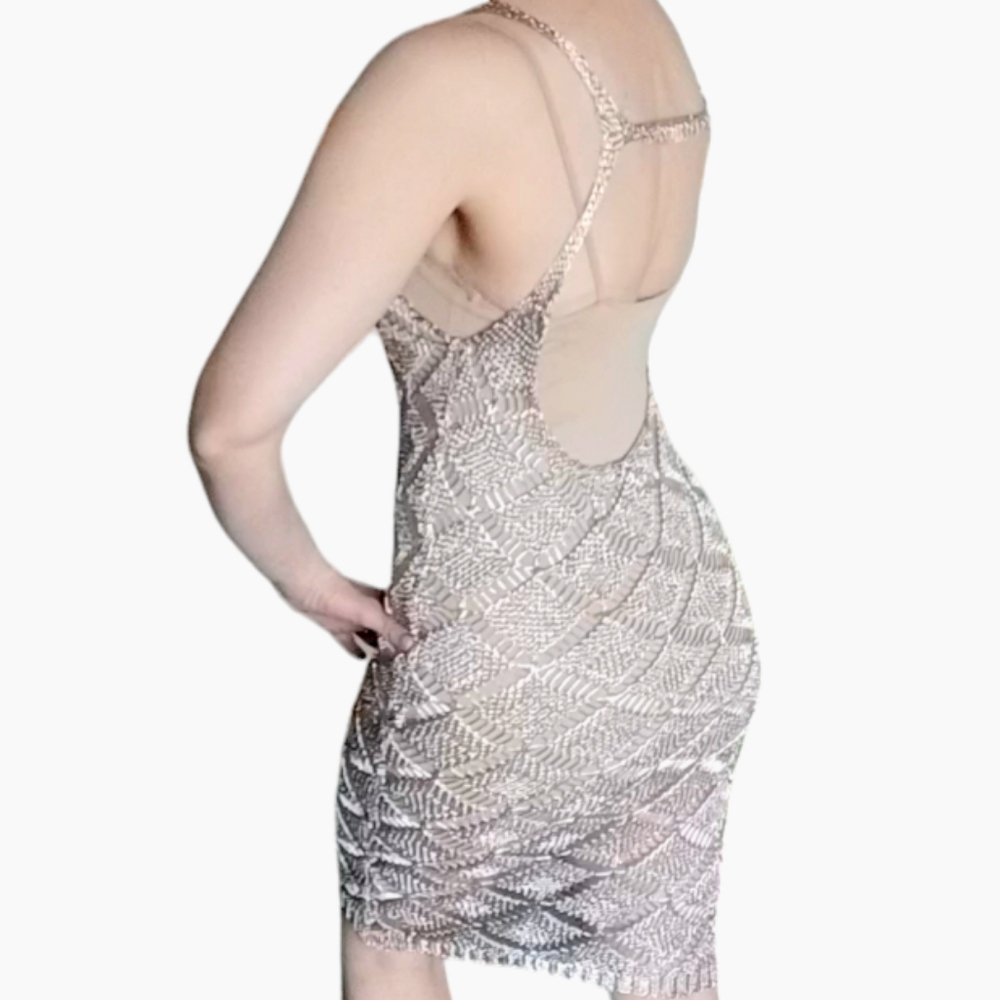 Sheer Metallic Slip Dress Rose Gold Net Dress Mesh Beach Cover-up for Disco Rave